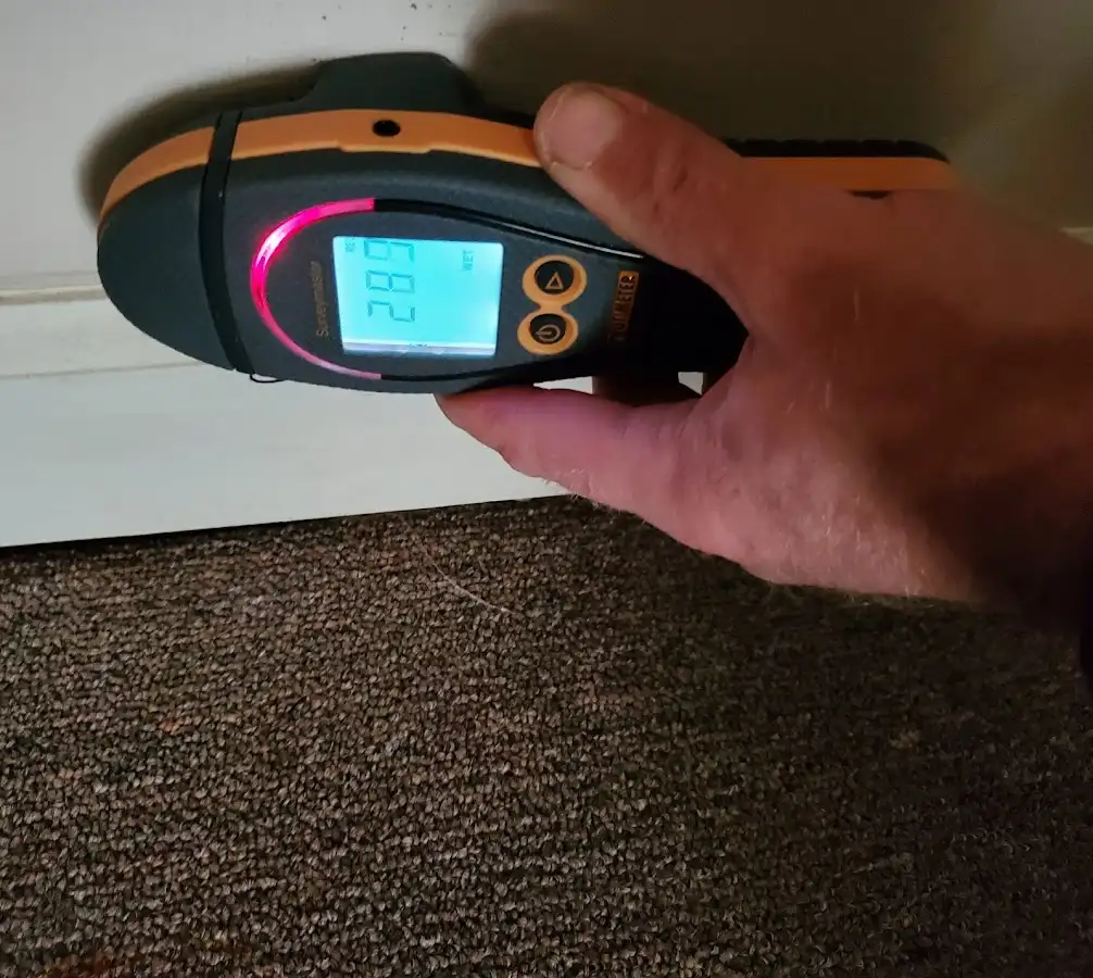 Moisture detection at baseboard during Sewage Cleanup & Sanitation in Franklin